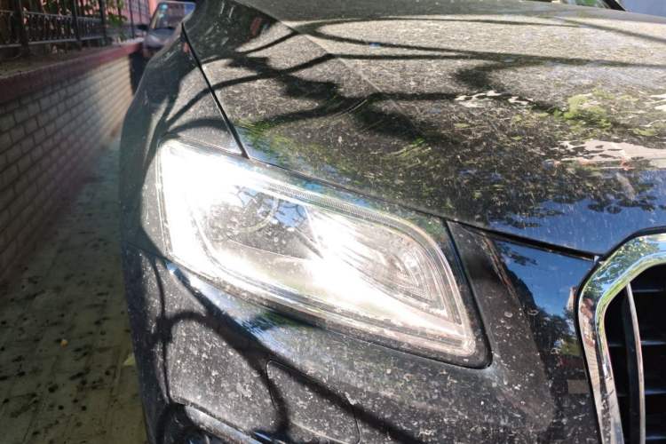 Used Audi Q5 2017 40 TFSI Ambition Edition Right Front Headlight