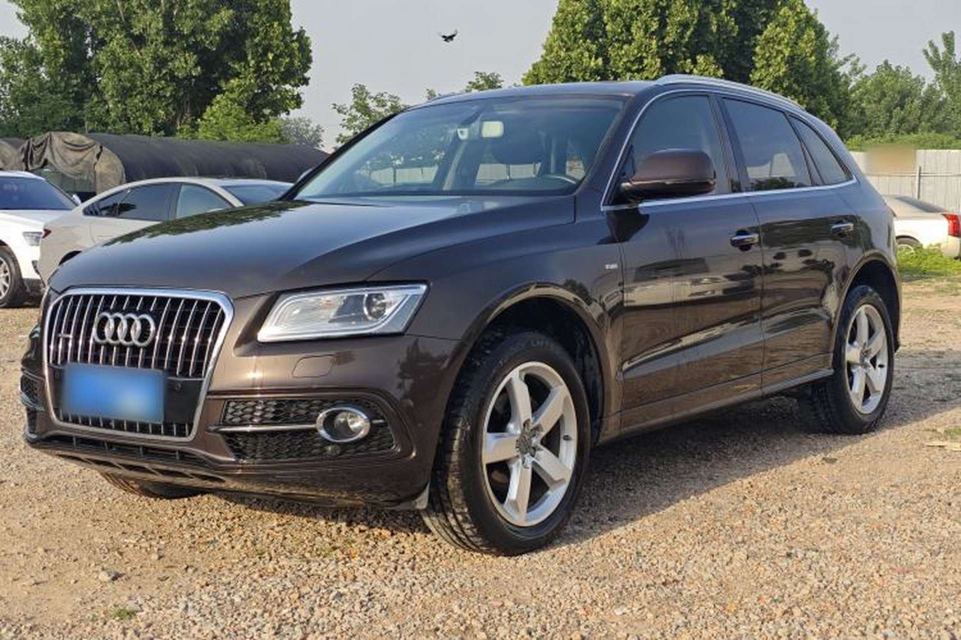 Used Audi Q5 2017 Plus 40 TFSI Ambition Model Exterior 1