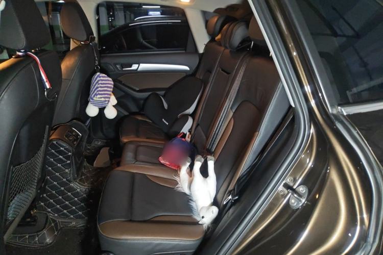 Used Audi Q5 2017 40 TFSI Technology Edition Left Rear Seat