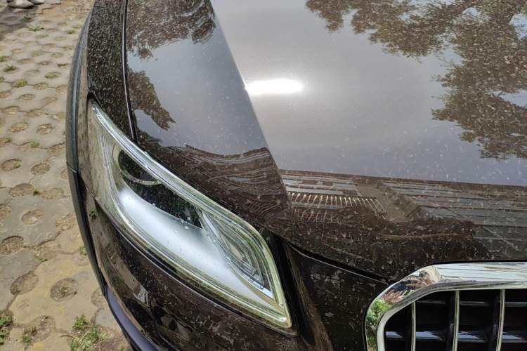 Used Audi Q5 2017 40 TFSI Comfort Model Right Front Headlight