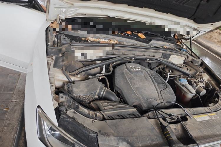 Used Audi Q5 2017 Plus 40 TFSI Ambition Model Engine Bay