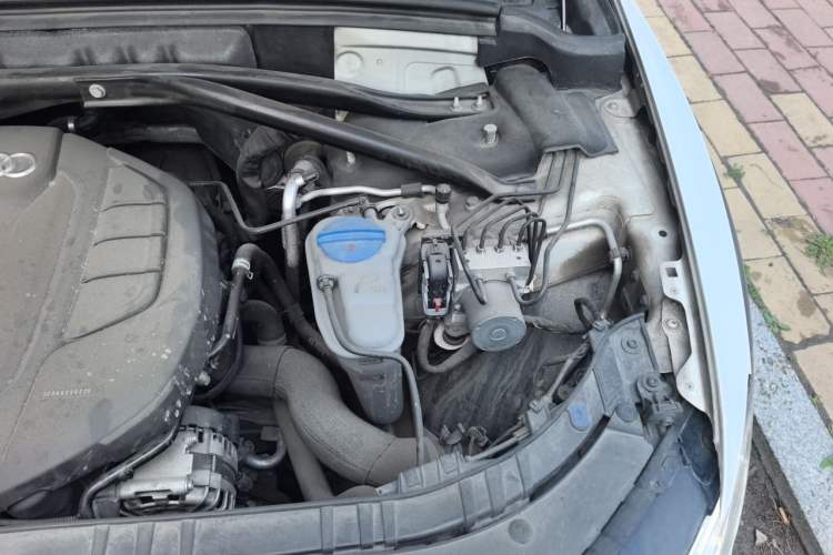 Used Audi Q5 2017 Plus 40 TFSI Technology Model Engine Bay Left