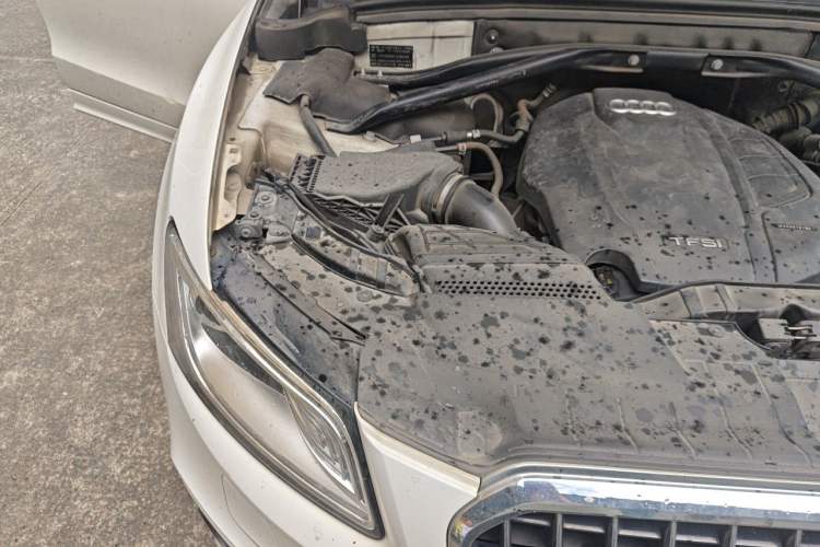 Used Audi Q5 2017 Plus 40 TFSI Ambition Model Engine Bay Right