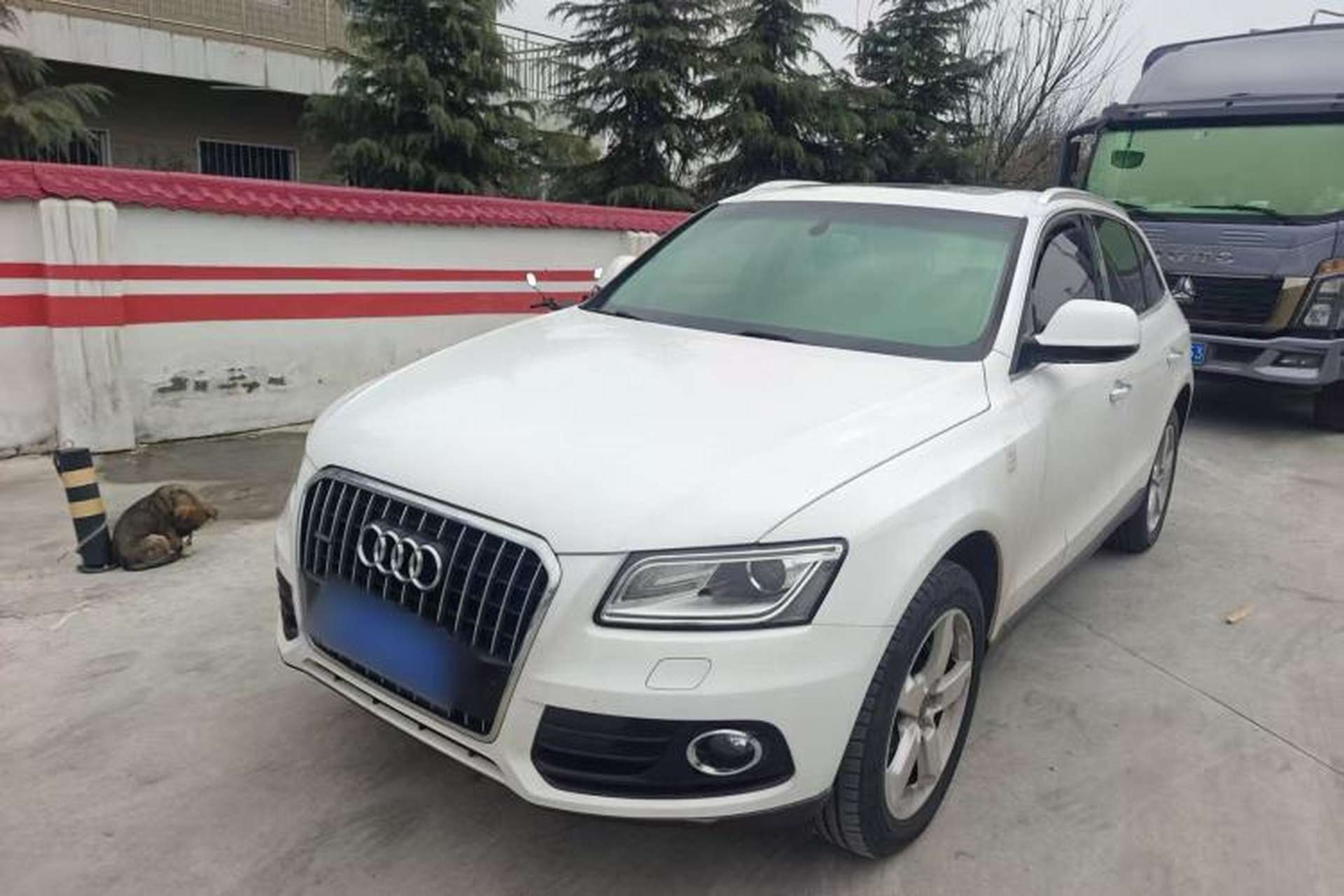Used Audi Q5 2017 40 TFSI Ambition Edition Exterior 5