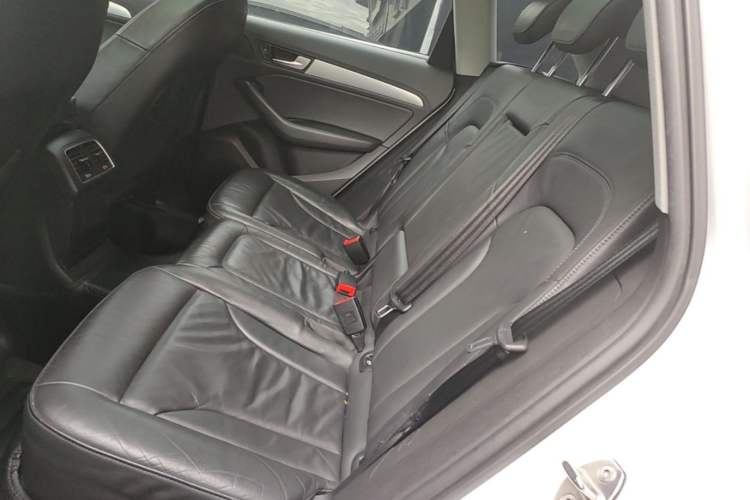 Used Audi Q5 2017 40 TFSI Technology Edition Left Rear Seat