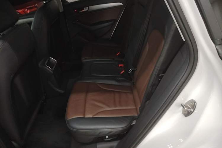 Used Audi Q5 2017 Plus 40 TFSI Ambition Model Left Rear Seat
