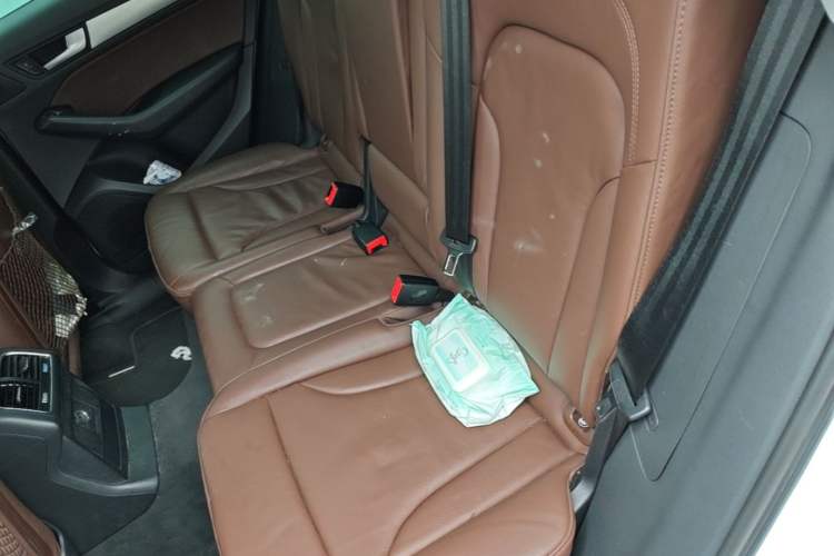 Used Audi Q5 2017 40 TFSI Technology Edition Left Rear Seat