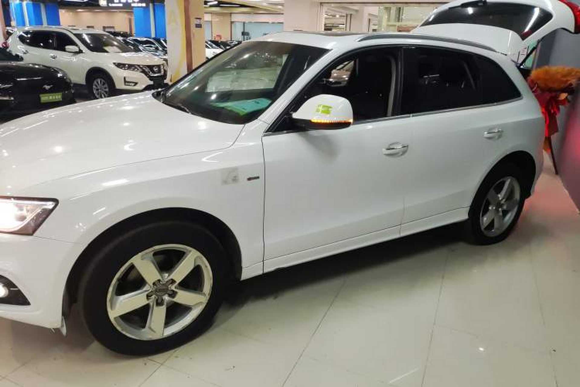 Used Audi Q5 2017 Plus 40 TFSI Ambition Model Left Side