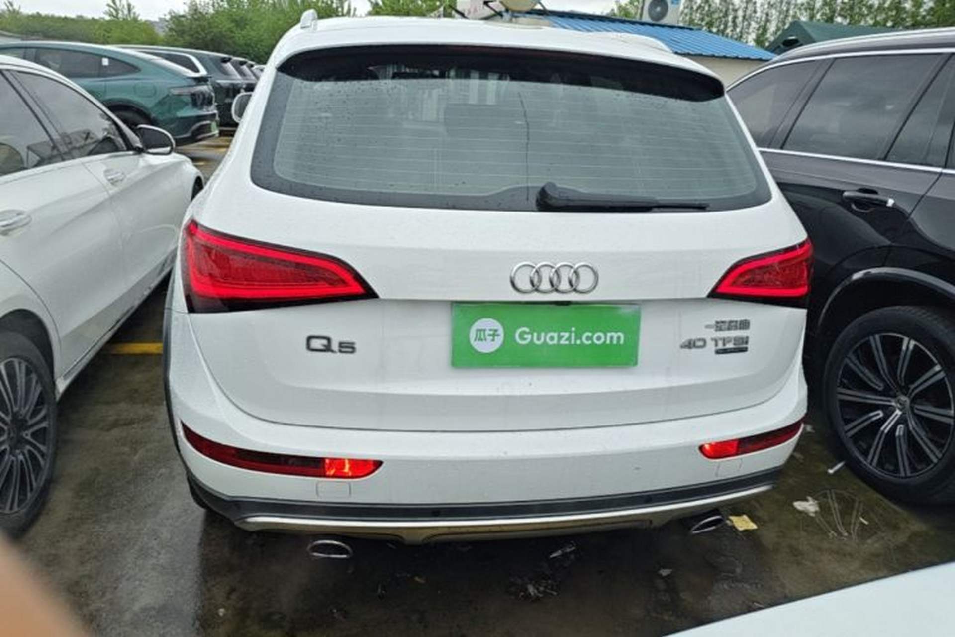 Used Audi Q5 2017 Plus 40 TFSI Technology Model Rear