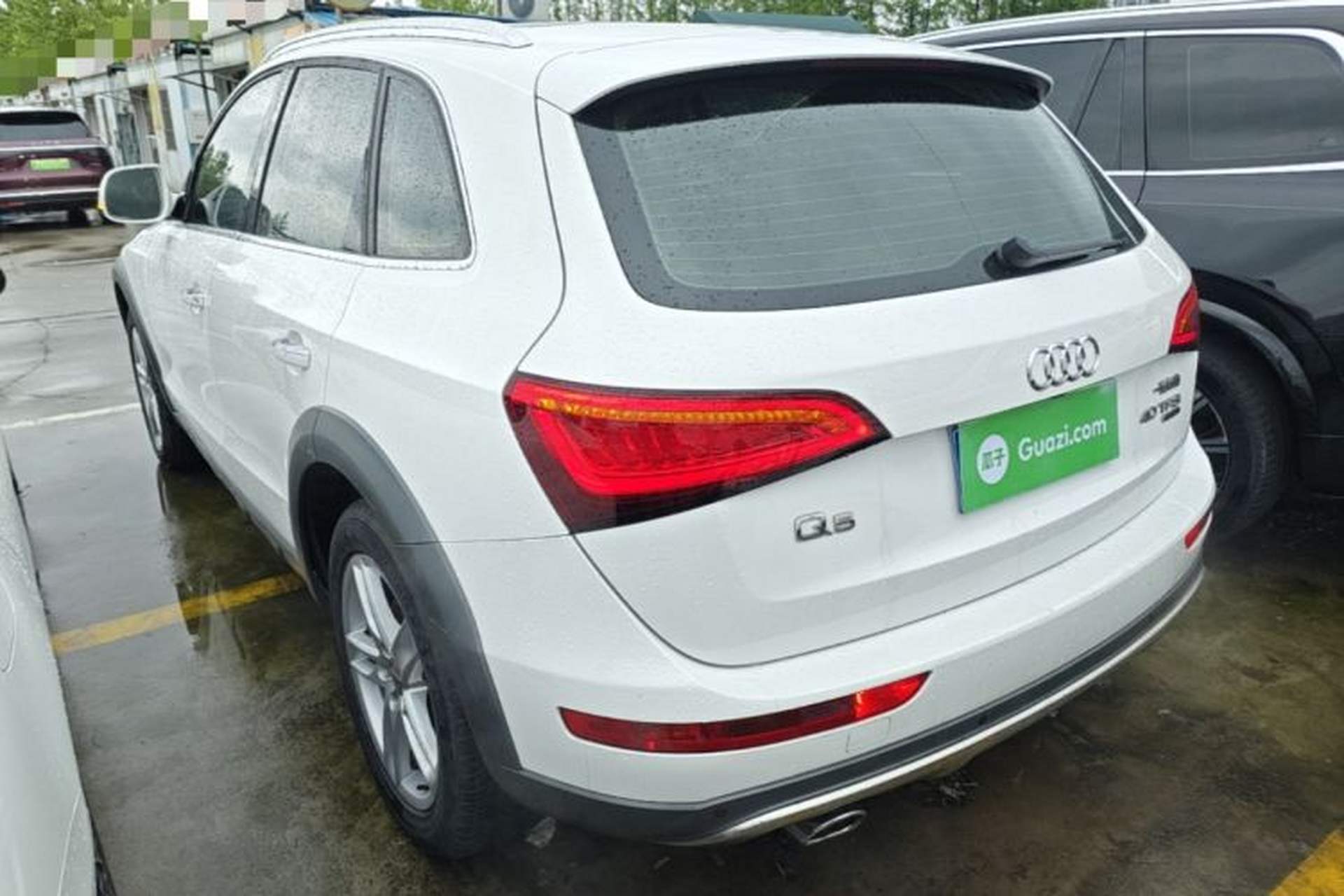 Used Audi Q5 2017 Plus 40 TFSI Technology Model Rear Left 45 Deg
