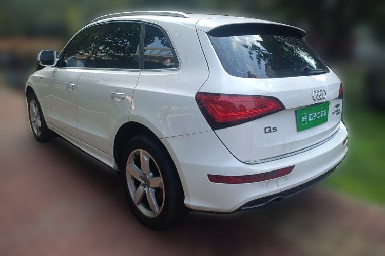 Used Audi Q5 2017 Plus 40 TFSI Ambition Model Rear Left 45 Deg