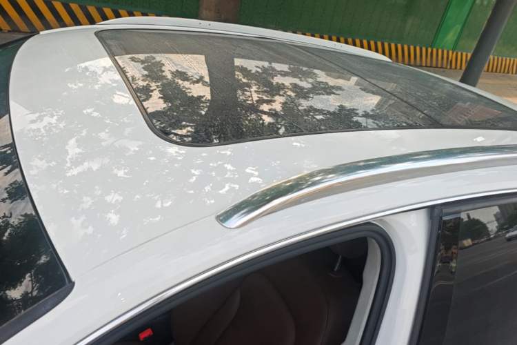 Used Audi Q5 2017 40 TFSI Technology Edition Roof