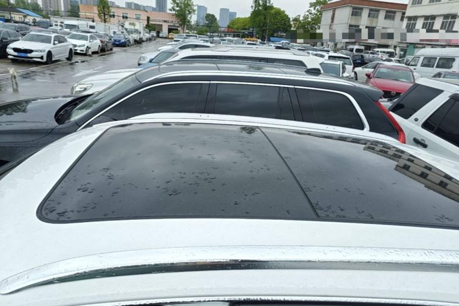 Used Audi Q5 2017 Plus 40 TFSI Technology Model Roof
