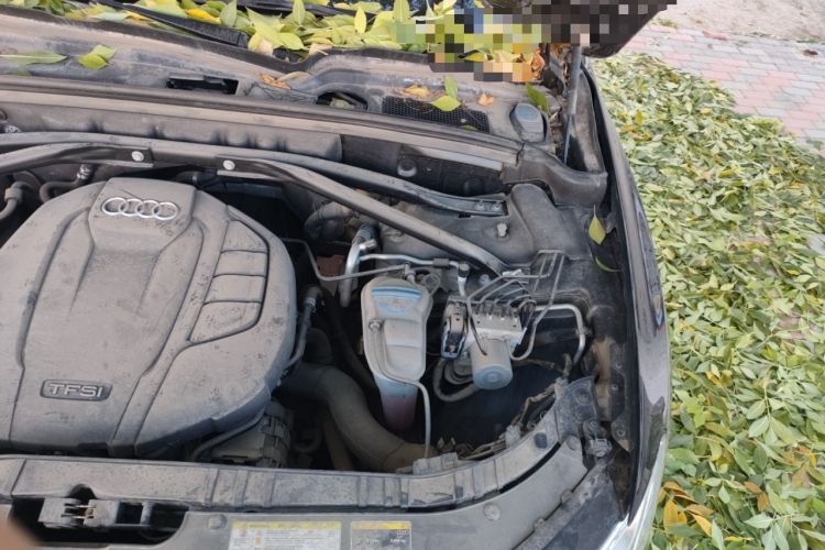 Used Audi Q5 2018 Collector's Edition 40 TFSI Ambition Model Engine Bay Left