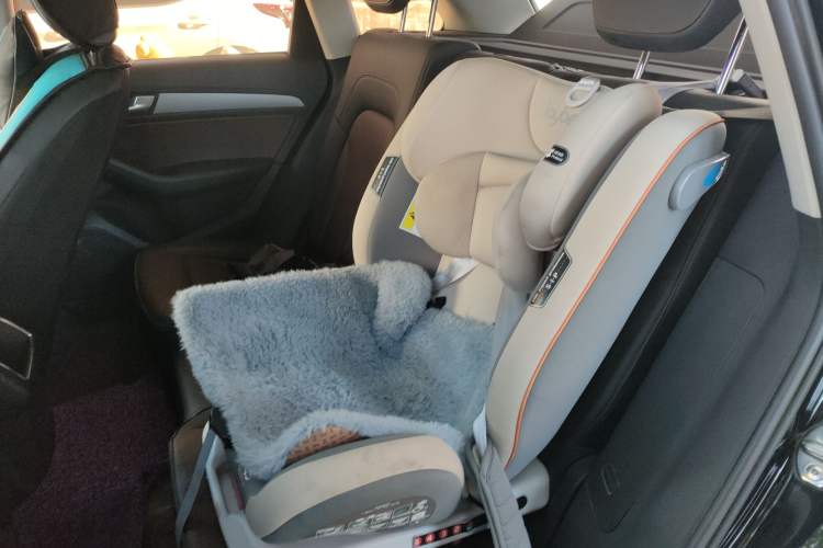 Used Audi Q5 2018 Collector's Edition 40 TFSI Ambition Model Left Rear Seat