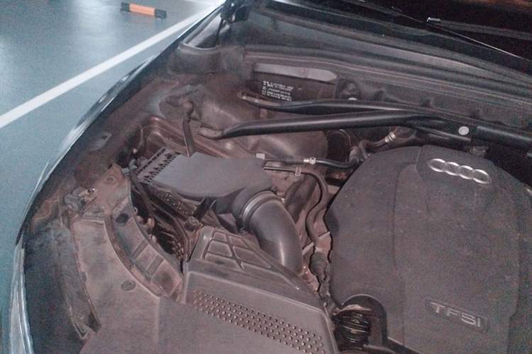 Used Audi Q5 2018 Collector's Edition 40 TFSI Technology Model Engine Bay Right
