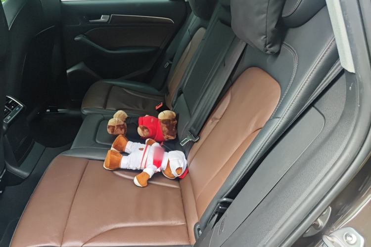 Used Audi Q5 2018 Collector's Edition 40 TFSI Ambition Model Left Rear Seat