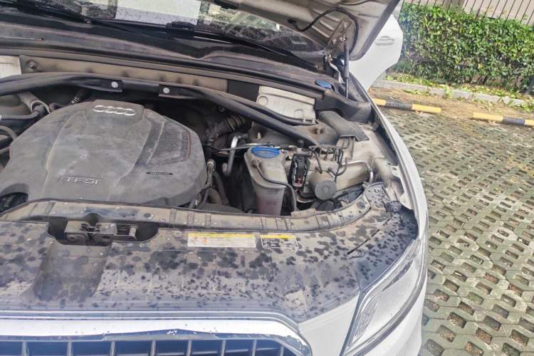 Used Audi Q5 2018 Collector's Edition 40 TFSI Ambition Model Engine Bay Left