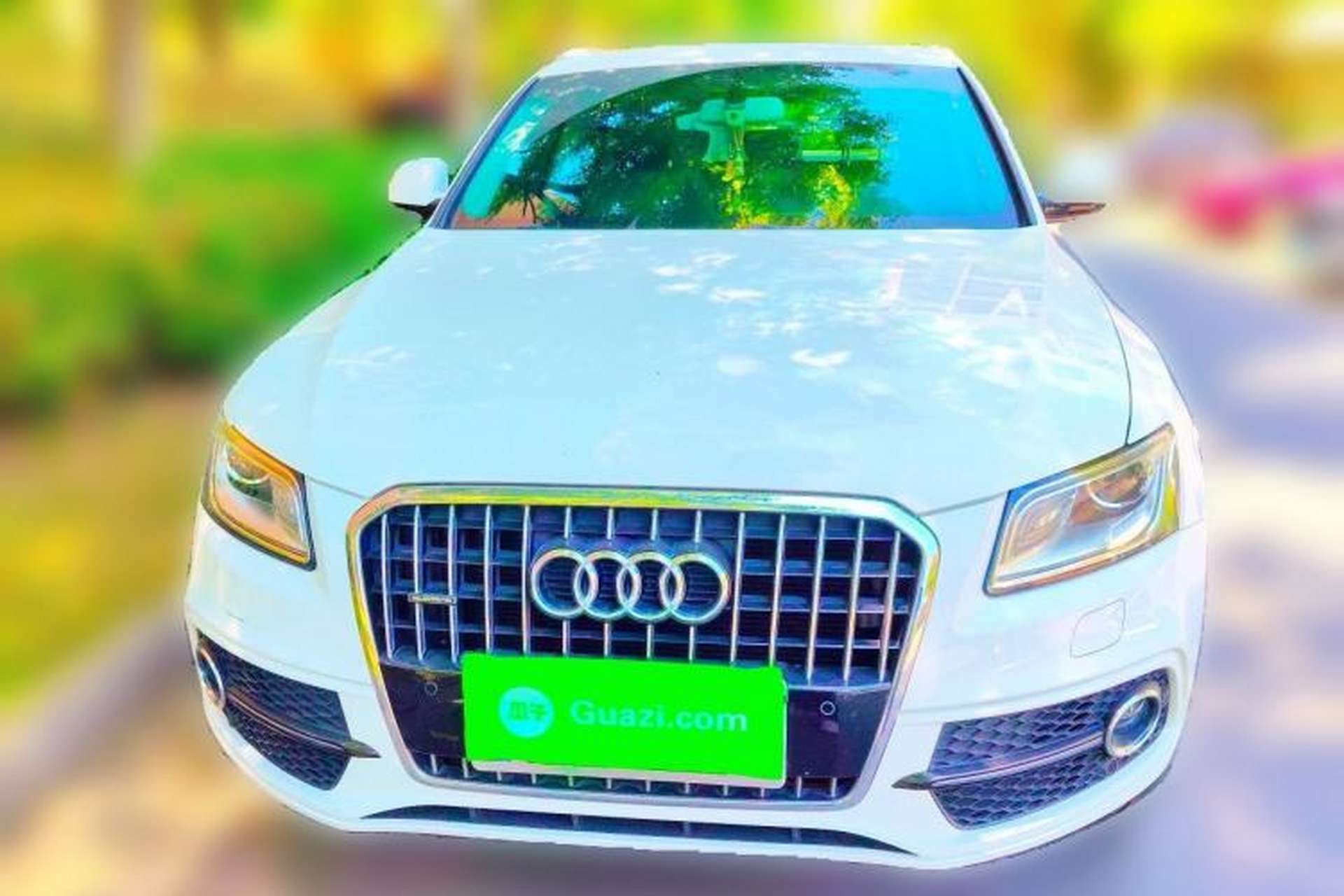 Used Audi Q5 2018 Collector's Edition 40 TFSI Ambition Model Front