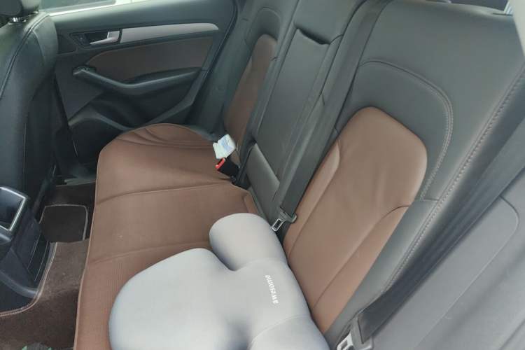 Used Audi Q5 2018 Collector's Edition 40 TFSI Ambition Model Left Rear Seat