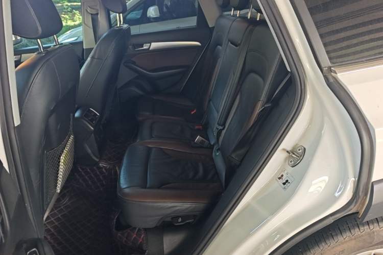 Used Audi Q5 2018 Collector's Edition 40 TFSI Technology Model Left Rear Seat