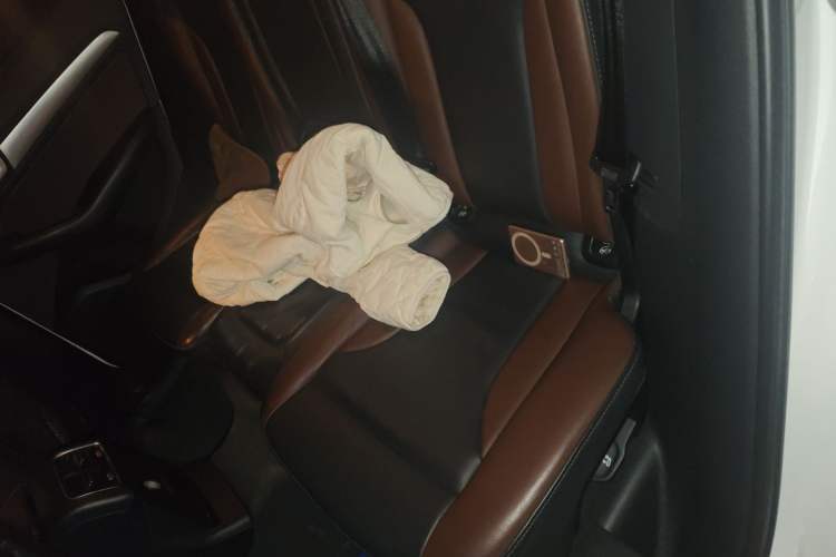 Used Audi Q5 2018 Collector's Edition 40 TFSI Technology Model Left Rear Seat