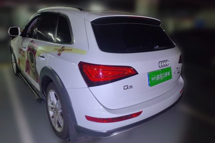 Used Audi Q5 2018 Collector's Edition 40 TFSI Technology Model Rear Left 45 Deg