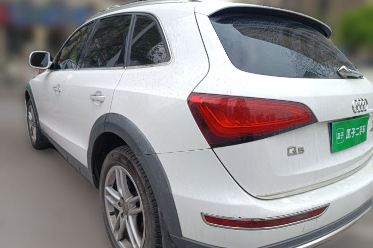 Used Audi Q5 2018 Collector's Edition 40 TFSI Technology Model Rear Left 45 Deg