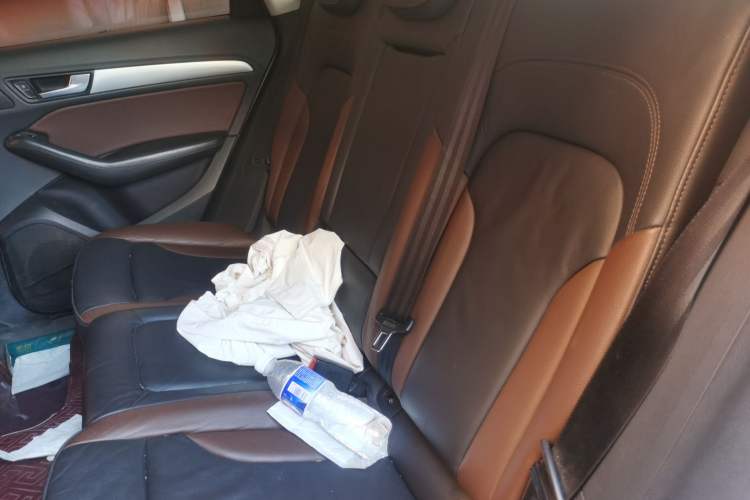 Used Audi Q5 2018 Collector's Edition 40 TFSI Technology Model Left Rear Seat