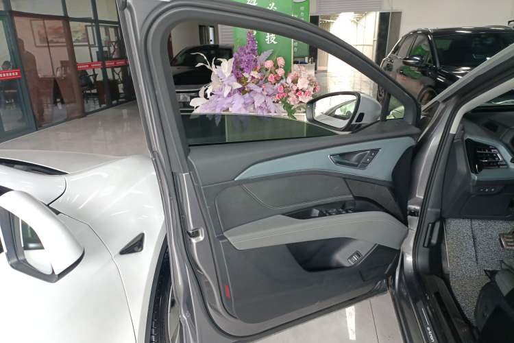 Used Audi Q5 e-tron 2022 40 e-tron Starry Edition Luxury Package Left Front Door Interior