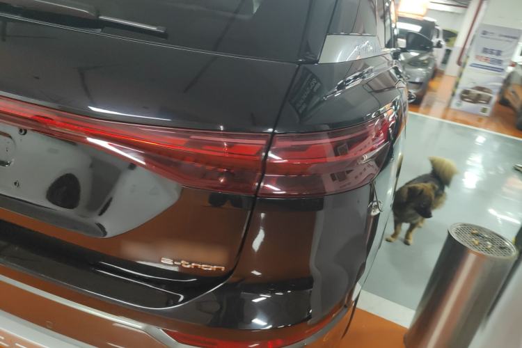 Used Audi Q5 e-tron 2022 40 e-tron Starry Edition Luxury Package Right Rear Taillight