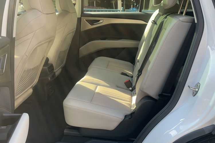 Used Audi Q5 e-tron 2022 40 e-tron Starry Edition Luxury Package Left Rear Seat