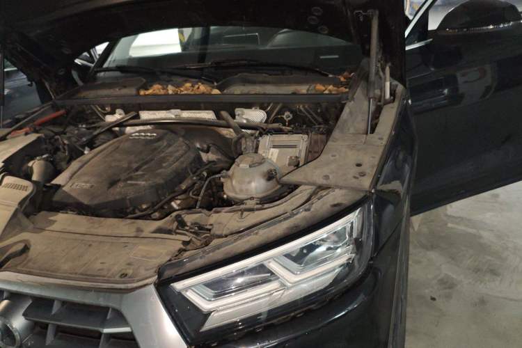 Used Audi Q5L 2018 40 TFSI Prestige Fashion Edition China V Engine Bay Left