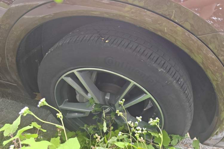 Used Audi Q5L 2018 40 TFSI Prestige Fashion Edition China V Right Front Wheel Hub