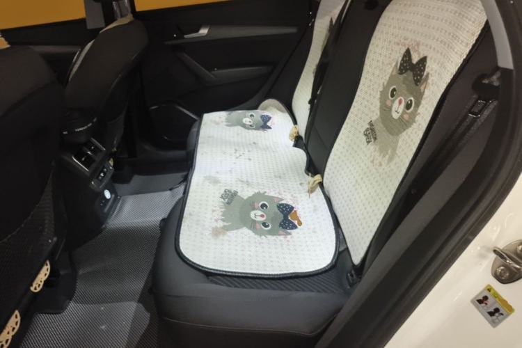 Used Audi Q5L 2018 40 TFSI Prestige Edition China VI Emission Standard Left Rear Seat