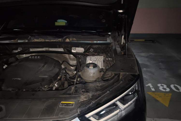 Used Audi Q5L 2020 Updated 40 TFSI Prestige Fashion Edition Engine Bay Left