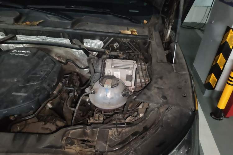Used Audi Q5L 2020 40 TFSI Prestige Fashion Edition Engine Bay Left