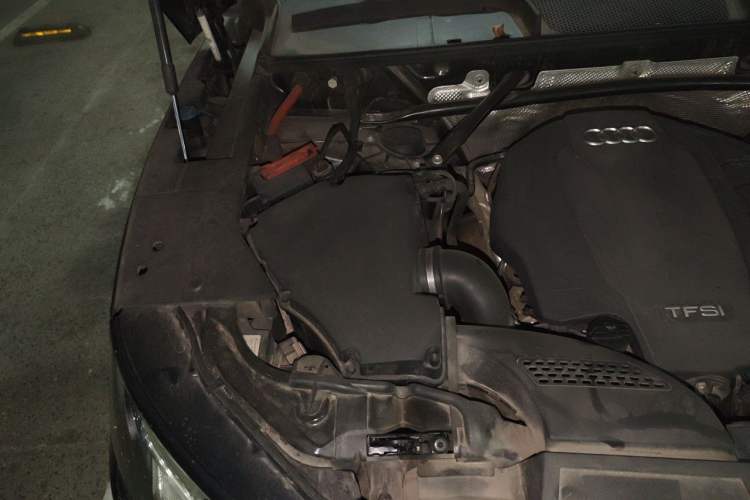 Used Audi Q5L 2020 Updated 40 TFSI Prestige Fashion Edition Engine Bay Right