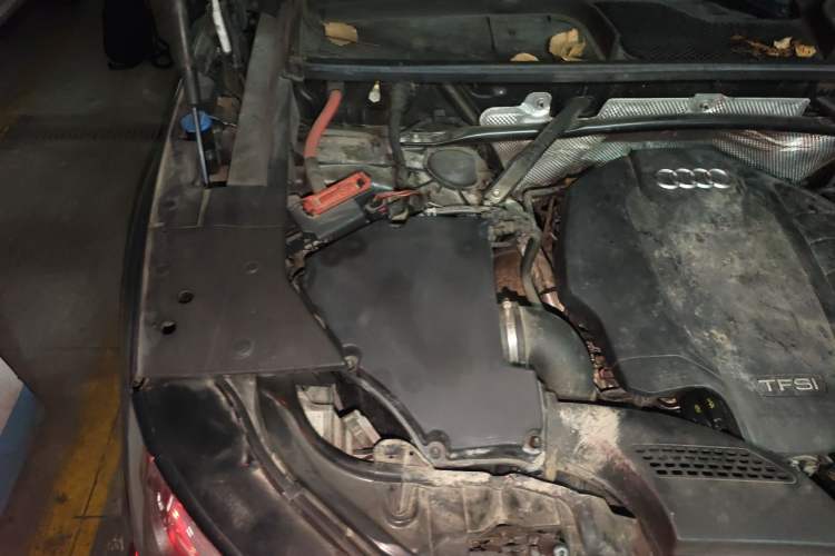 Used Audi Q5L 2020 Updated 40 TFSI Prestige Fashion Edition Engine Bay Right