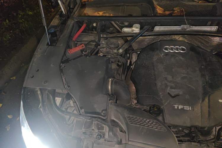 Used Audi Q5L 2020 40 TFSI Prestige Fashion Edition Engine Bay Right