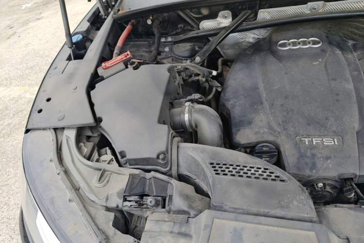 Used Audi Q5L 2020 40 TFSI Prestige Fashion Edition Engine Bay Right