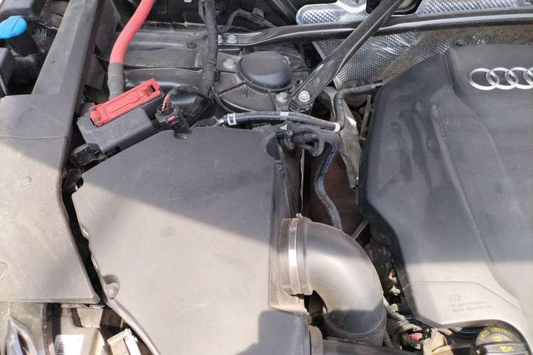 Used Audi Q5L 2020 40 TFSI Prestige Fashion Edition Engine Bay Right
