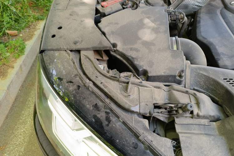 Used Audi Q5L 2020 45 TFSI Prestige Fashion Model Engine Bay Right