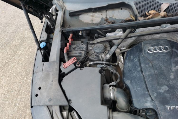 Used Audi Q5L 2020 40 TFSI Prestige Fashion Edition Engine Bay Right
