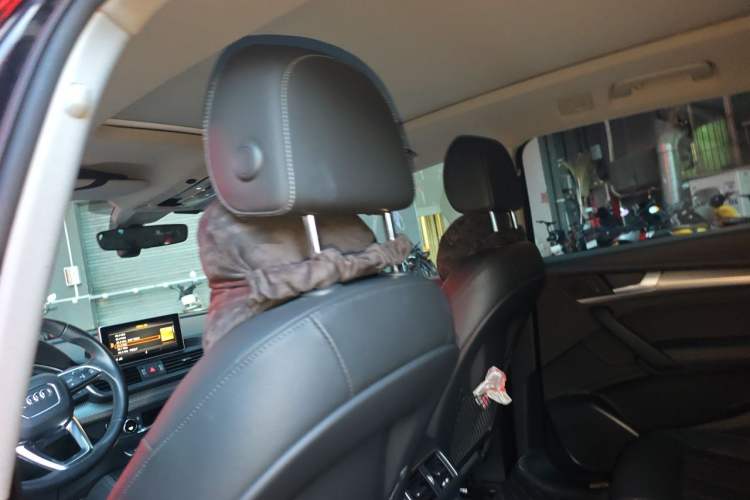 Used Audi Q5L 2020 45 TFSI Prestige Fashion Model Headliner
