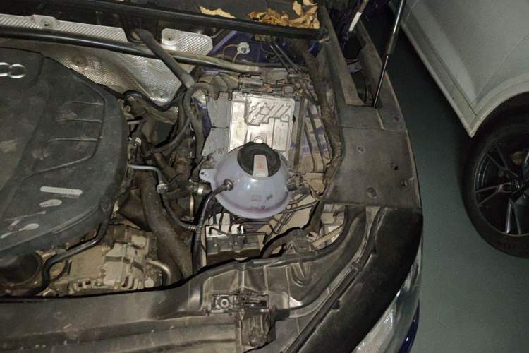 Used Audi Q5L 2020 45 TFSI Prestige Fashion Model Engine Bay Left