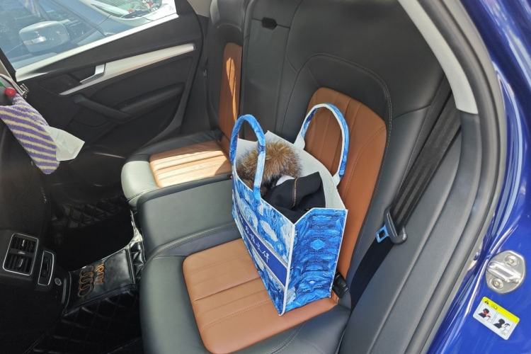 Used Audi Q5L 2020 Updated 40 TFSI Prestige Fashion Edition Left Rear Seat