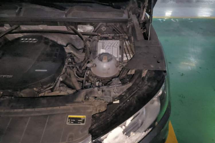 Used Audi Q5L 2020 40 TFSI Prestige Edition Engine Bay Left