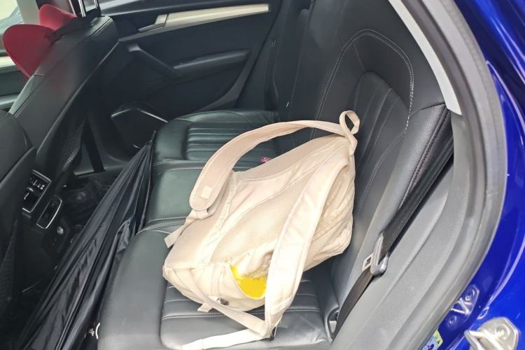 Used Audi Q5L 2020 40 TFSI Prestige Fashion Edition Left Rear Seat