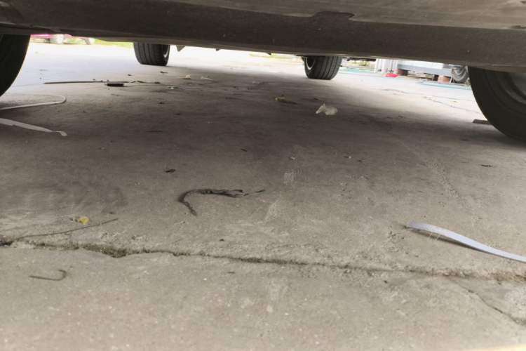 Used Audi Q5L 2020 40 TFSI Prestige Fashion Edition Chassis Front